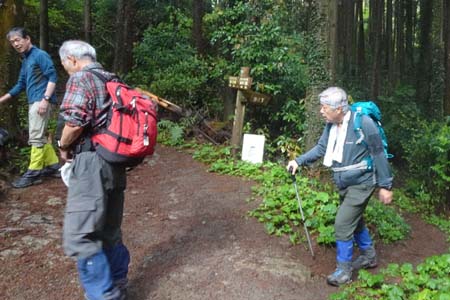 西山峠から南高尾山稜・たどり着いた西山峠