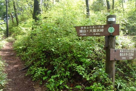 西山峠から南高尾山稜・中澤山の分岐
