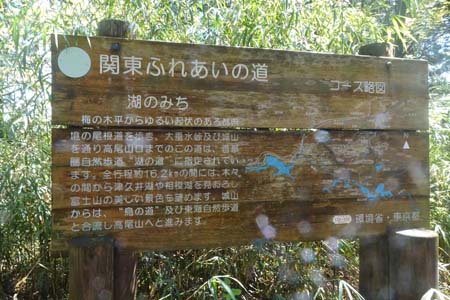 西山峠から南高尾山稜・大洞山の山頂