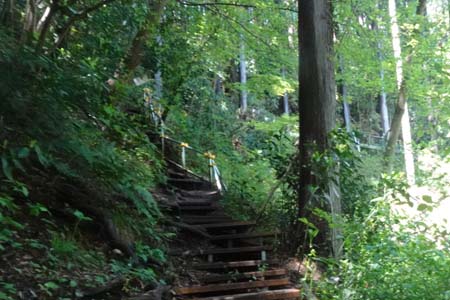 西山峠から南高尾山稜・大垂水峠への崩壊地に巻き道