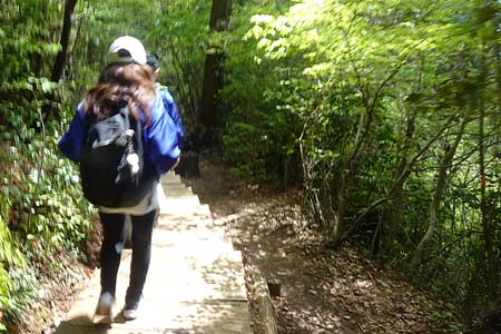 西山峠から南高尾山稜・稲荷山コースを下り