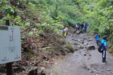 西山峠から南高尾山稜・六号路を下ります