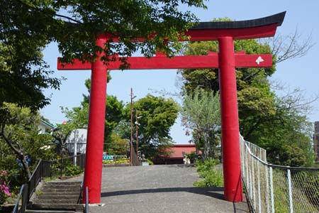 横浜市西区・浅間神社の赤い鳥居