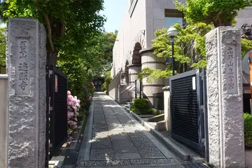 遍照寺の山門