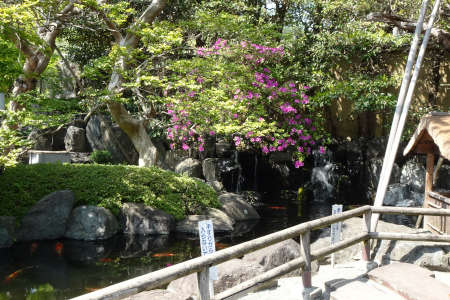 横浜市保土ヶ谷区・樹源寺の日本庭園