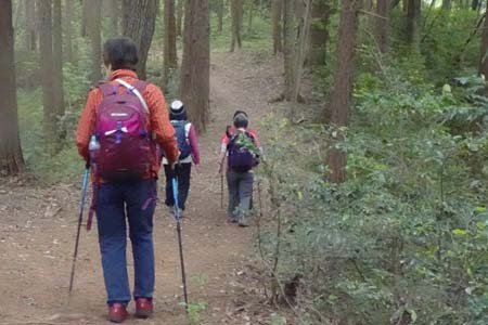 霞丘陵から塩船観音・急坂を登るとヒノキ林の中の道