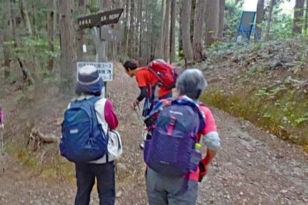 霞丘陵から塩船観音・飯能へと続く森林浴コース
