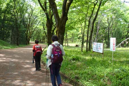 霞丘陵から塩船観音・広い桜並木が続いています