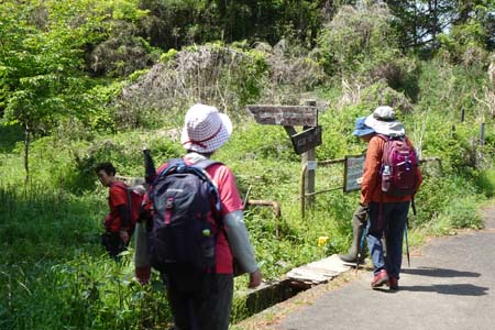 霞丘陵から塩船観音・塩船観音へは左の道