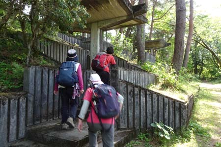 霞丘陵から塩船観音・霞丘陵自然公園の展望台