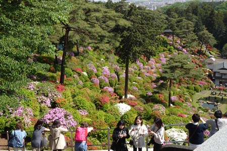 霞丘陵から塩船観音・塩船観音はたくさんの観光客