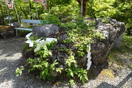 小鹿野町・小鹿神社のさざれ石