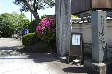 善福寺の山門