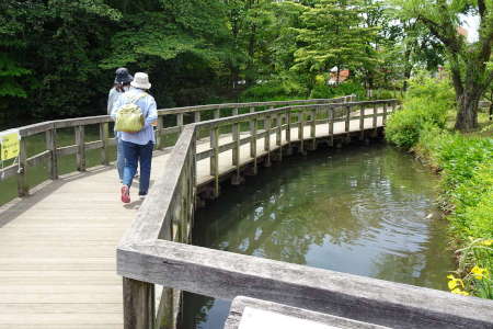 国分寺市・姿見ノ池