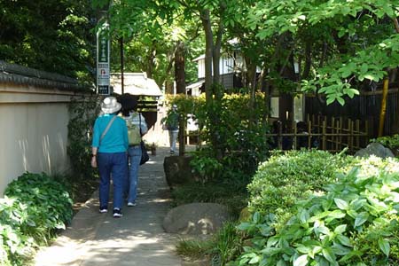 国分寺市・お鷹の道