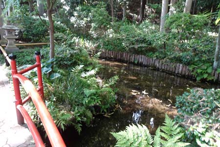 国分寺市・お鷹の道の真姿の池