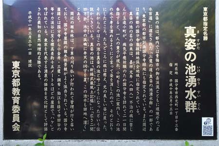 国分寺市・真姿の池の案内板