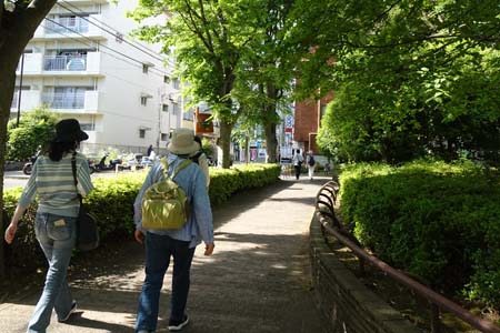 国分寺市・殿ヶ谷戸庭園脇の道