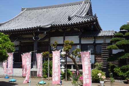 二宮町・白フジで有名な藤巻寺