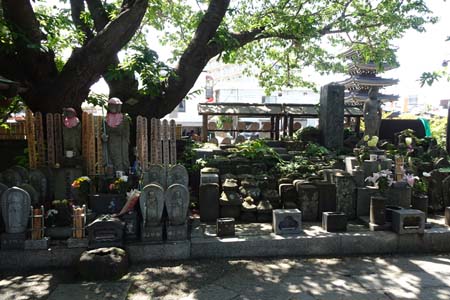 小田原市・法船寺にたくさんの石仏