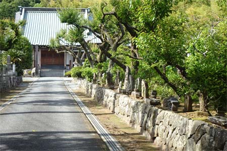 小田原市・香林寺の本堂