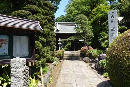 横浜市港北区・法華寺の参道