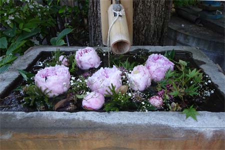 横浜市港北区・菊名神社の花手水鉢