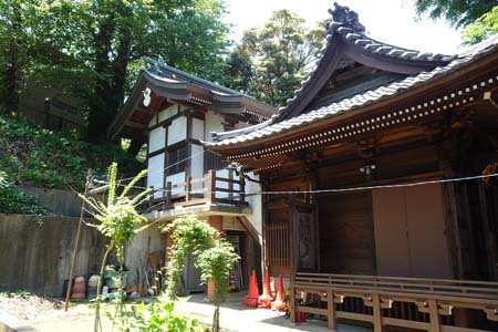 横浜市港北区・八杉神社の本殿