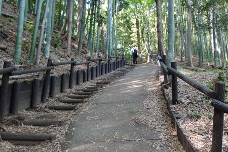 横浜市港北区・小机城の竹林の中の登っていきます