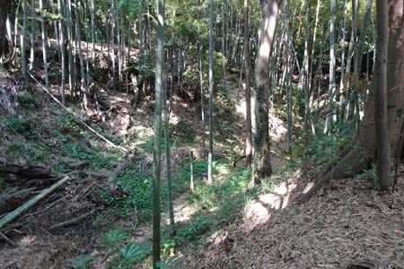 横浜市港北区・小机城の深い空堀