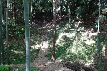 小机城の空堀の中にも踏みあと