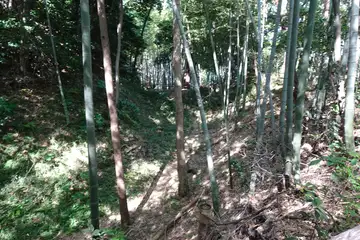 小机城の空堀が続きます