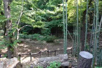 小机城の二ノ丸の南側には井戸が