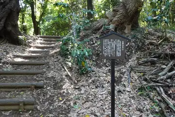 小机城の本丸を囲む土塁