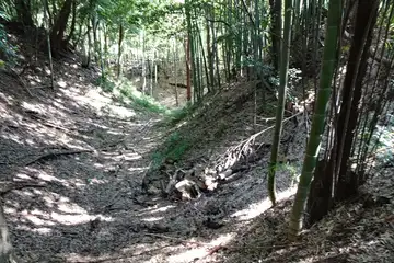 小机城の本丸を囲む空堀