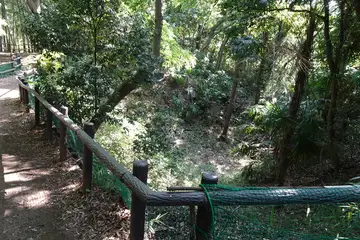 小机城の本丸を囲む空堀