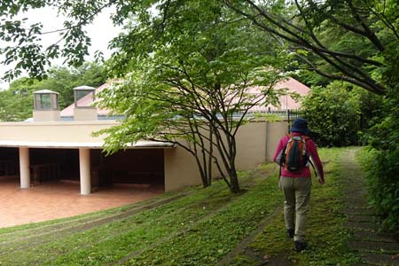 横浜自然観察の森から天園・横浜自然観察の森