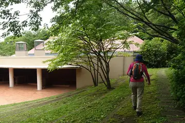横浜自然観察の森
