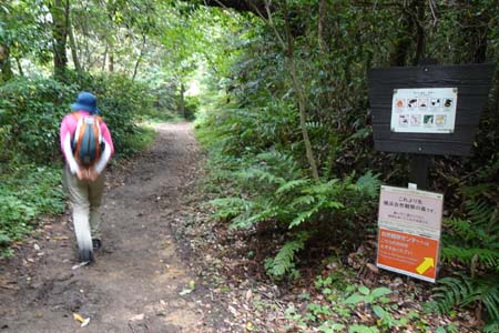 横浜自然観察の森から天園・横浜つながりの森のハイキングコース