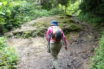一枚岩の岩場