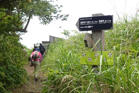 横浜自然観察の森から天園・ゴルフ場脇の広場へ