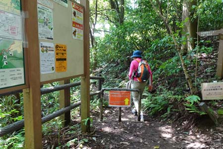 横浜自然観察の森から天園・ハイキングコースから自然観察の森へ