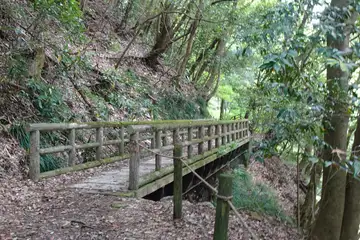 須雲川自然探勝歩道