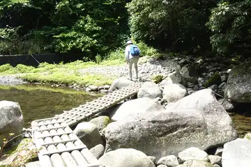 早川を渡渉する木橋