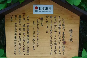 橿木坂