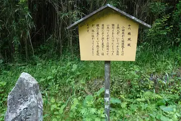 権現坂の石畳