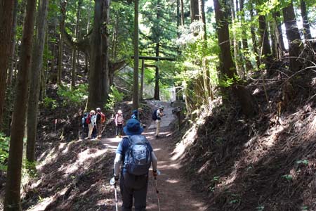 御岳山からロックガーデン・天狗の腰掛杉から奥ノ院の道