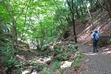 御岳山からロックガーデン・ロックガーデン入り口から綾広の滝へ