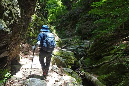御岳山からロックガーデン・緑に包まれるロックガーデン