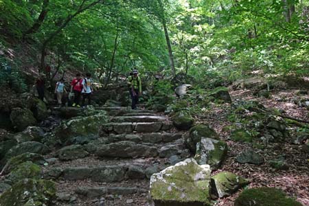 御岳山からロックガーデン・たくさんのハイカーが下ってきます